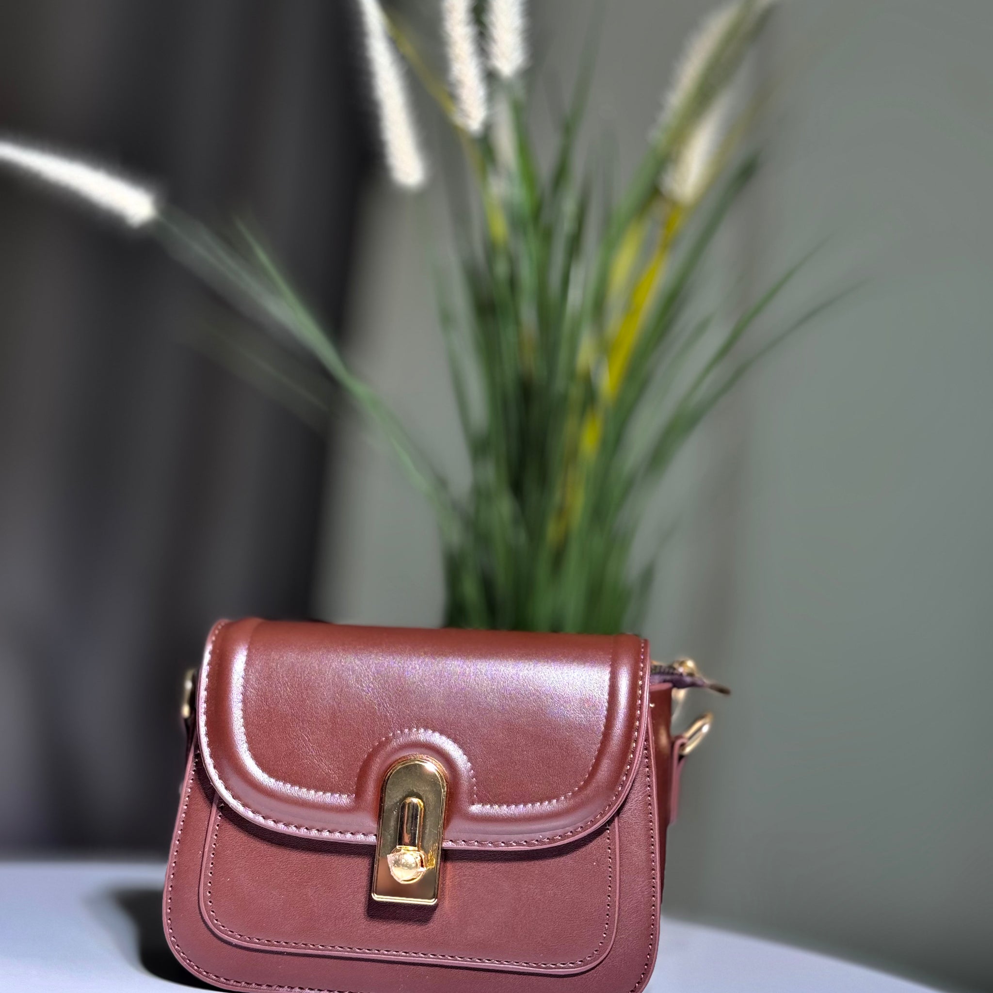 Small Crossbody Brown Bag