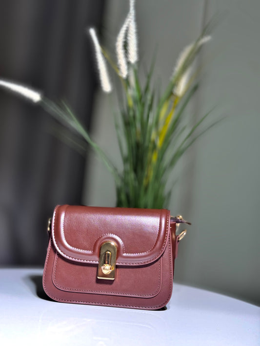 Small Crossbody Brown Bag